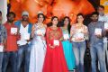 Pichekkistha Movie Audio Launch Photos