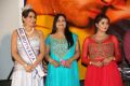 Pichekkistha Movie Audio Launch Photos