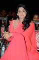 Actress Regina Cassandra @ Pilla Nuvvu Leni Jeevitham Audio Sucess Meet Stills