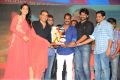 Pilla Nuvvu Leni Jeevitham Audio Sucess Meet Stills