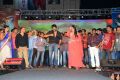 Pilla Nuvvu Leni Jeevitham Audio Sucess Meet Stills