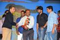 Pilla Nuvvu Leni Jeevitham Audio Sucess Meet Stills