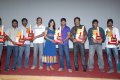 Pilla Zamindar Platinum Disk Function