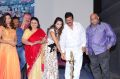 Plus One Audio Launch Stills