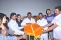 Pollangu Audio Launch Stills