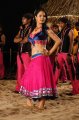 Pooja Bose Hot Pics in Veedu Theda