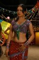 Pooja Bose Hot Pics in Veedu Theda