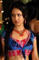 Pooja Bose Hot Pics in Veedu Theda