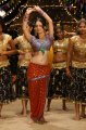 Pooja Bose Hot Pics in Veedu Theda