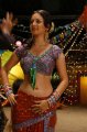 Pooja Bose Hot Pics in Veedu Theda