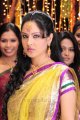 Pooja Bose Cute in Saree Stills