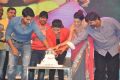 Pooja Hegde Birthday Celebration @ Oka Laila Kosam Audio Success Meet