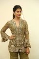 Actress Pooja Hegde New Photos @ Aravinda Sametha Movie Success Meet