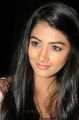 Actress Pooja Hegde Stills at Mask Movie Audio Launch