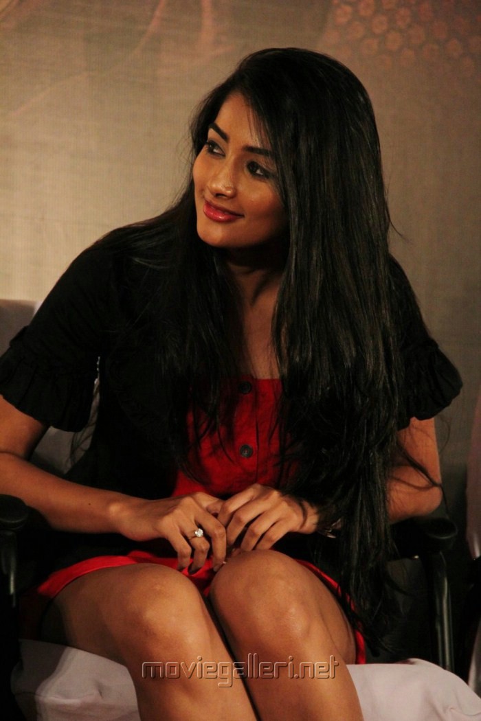 [Image: tamil_actress_pooja_hegde_new_hot_stills...964264.jpg]