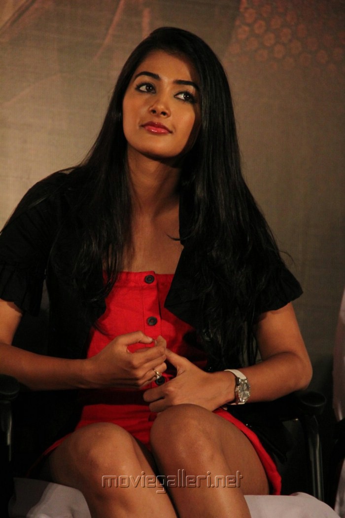 [Image: tamil_actress_pooja_hegde_new_hot_stills...cea0af.jpg]