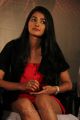 Pooja Hegde New Hot Stills