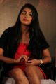 Tamil Actress Pooja Hegde New Hot Stills
