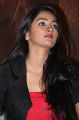 Actress Pooja Hegde New Stills