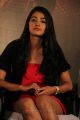 Pooja Hegde New Hot Photos