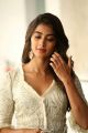 Actress Pooja Hegde @ Saakshyam Success Meet Stills