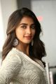 Actress Pooja Hegde New Stills @ Saakshyam Success Meet