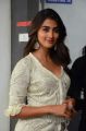 Actress Pooja Hegde @ Saakshyam Success Meet Stills