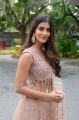 Actress Pooja Hegde Photos @ Sakshyam Movie Poster Launch