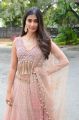 Actress Pooja Hegde Photos @ Saakshyam Movie Poster Launch