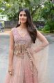 Actress Pooja Hegde Photos @ Sakshyam Motion Poster Launch