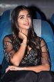 Actress Pooja Hegde Photos @ Valmiki Movie Press Meet