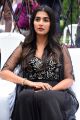 Actress Pooja Hegde Photos @ Valmiki Velluvachi Godaramma Song Launch