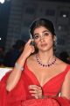 Actress Pooja Hegde Pics @ Maharshi Vijayotsavam Function