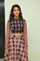 Telugu Actress Pooja Hegde Pics @ Saakshyam Panchaboothalu Song Launch