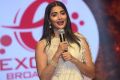 Actress Pooja Hegde Pics @ Valmiki Pre Release Event