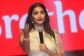 Actress Pooja Hegde Saree Pics @ Valmiki Movie Pre Release