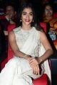 Actress Pooja Hegde Saree Pics @ Valmiki Movie Pre Release