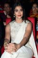 Actress Pooja Hegde Pics @ Valmiki Pre Release Event