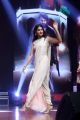 Actress Pooja Hegde Saree Pics @ Valmiki Movie Pre Release