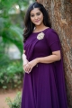 Bangaru Bullodu Heroine Pooja Jhaveri Images in Violet Dress