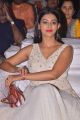 Actress Pooja Jhaveri Latest Images @ Sobhan Babu Awards 2018