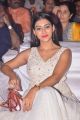 Actress Pooja Jhaveri Images @ Sobhan Babu Prestigious Awards 2018