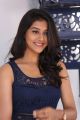 Dwaraka Actress Pooja Jhaver Interview Photos