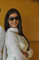 Actress Pooja Jhaveri @ L7 Telugu Movie Launch Stills