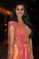 Actress Pooja Jhaveri Stills @ Right Right Movie Audio Release