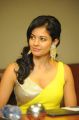 Pooja Kumar posing in Hot Yellow Dress at Vishwaroopam Press Meet