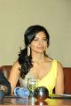 Actress Pooja Kumar Hot Stills at Viswaroopam DTH Launch