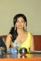Actress Pooja Kumar Latest Hot Stills at Viswaroopam DTH Launch