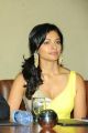 Actress Pooja Kumar Latest Hot Stills at Vishwaroopam DTH Launch