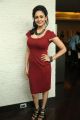 Uttama Villain Actress Pooja Kumar Hot Red Dress Pictures